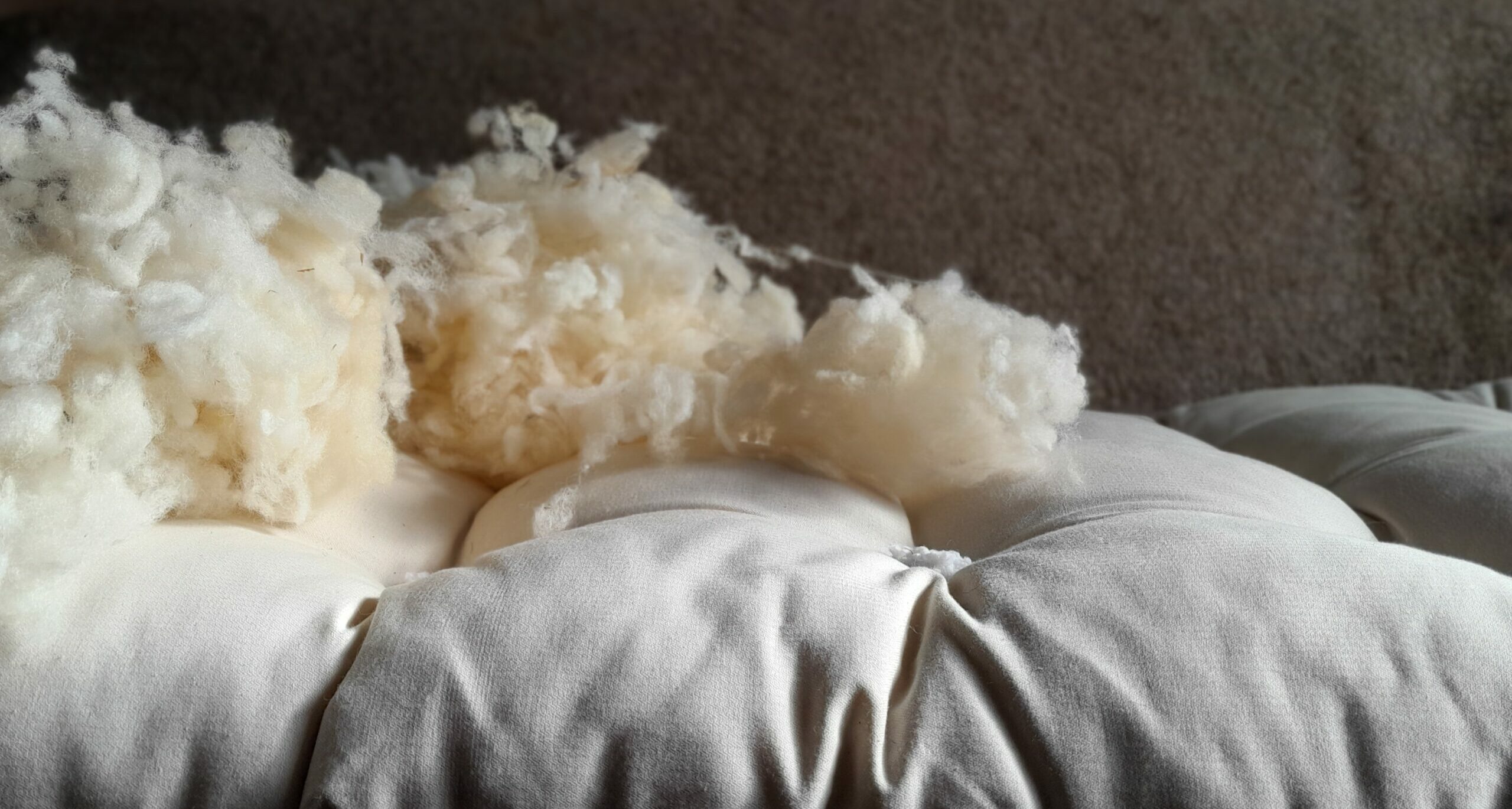 Les Toiles Des Bergers Logo